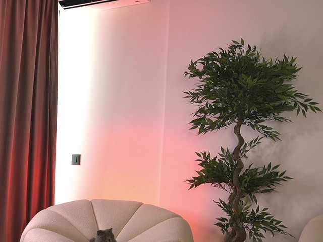 ellacandy live cam on BongaCams