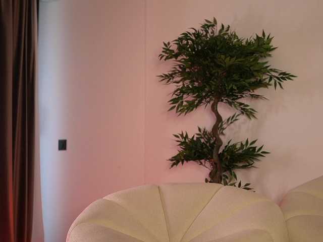 ellacandy live cam on BongaCams