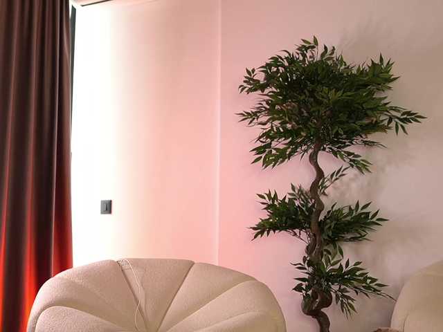 ellacandy live cam on BongaCams