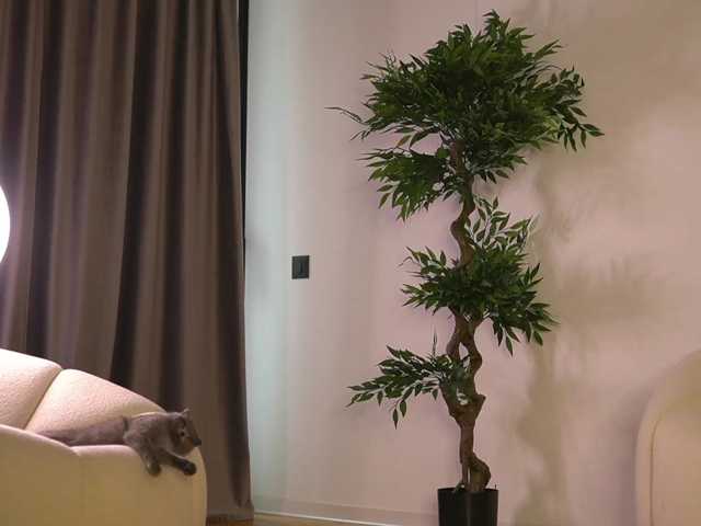 ellacandy live cam on BongaCams