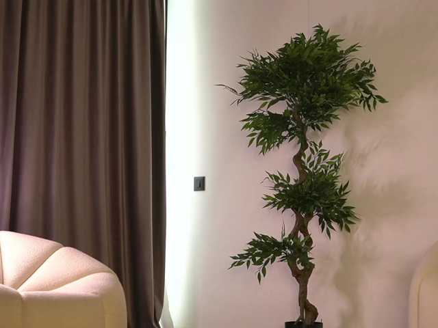 ellacandy live cam on BongaCams