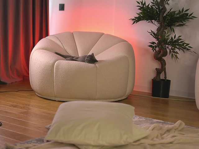 ellacandy live cam on BongaCams