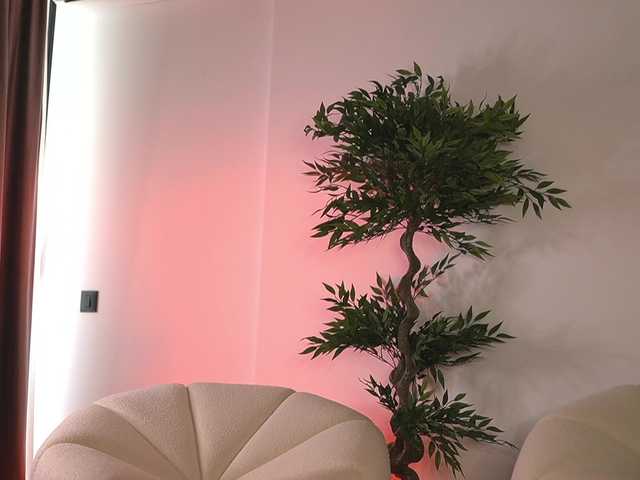 ellacandy live cam on BongaCams