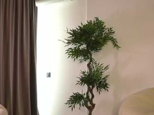 ellacandy live cam on BongaCams