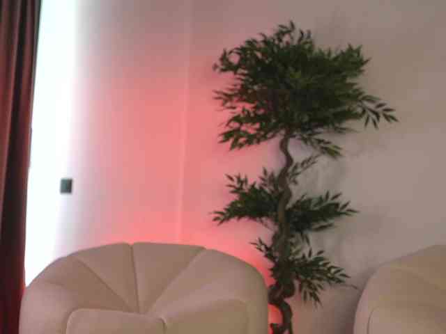 SashaPariss webcam