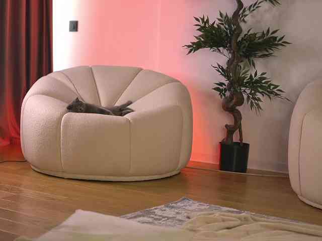 SashaPariss webcam