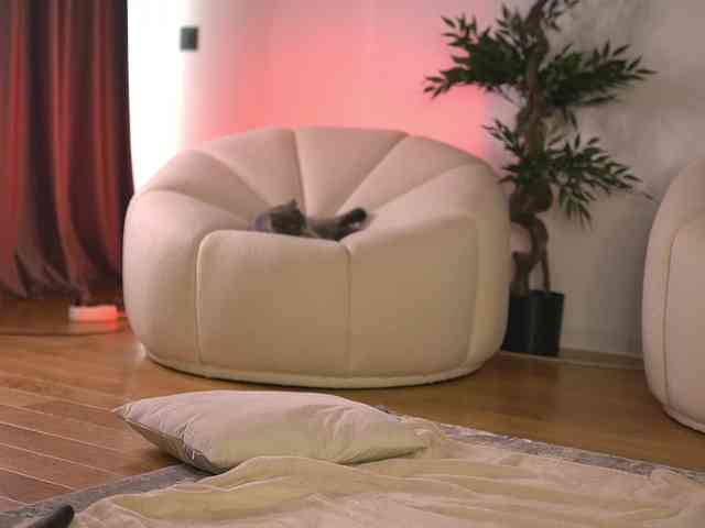 SashaPariss webcam
