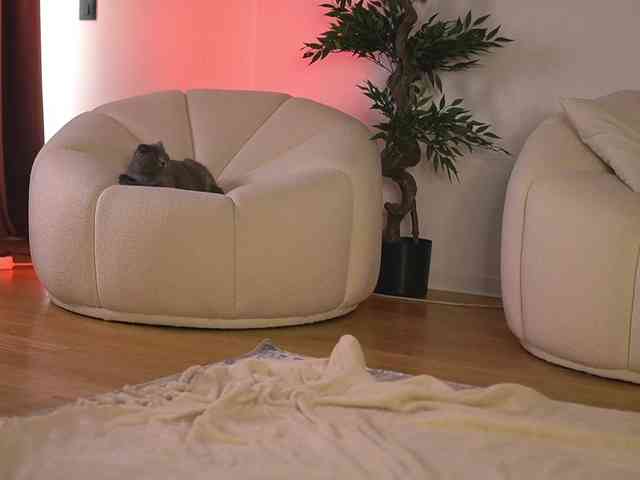 SashaPariss webcam