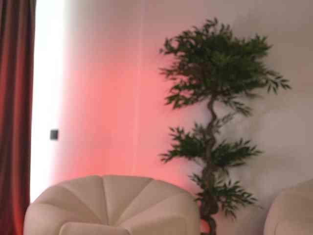 SashaPariss webcam