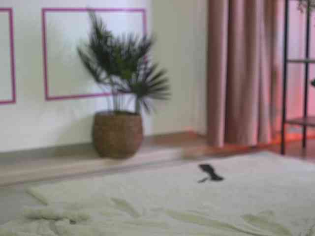SashaPariss webcam