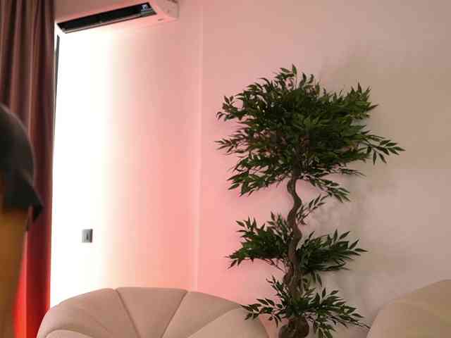 SashaPariss webcam