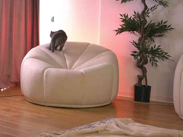 SashaPariss webcam