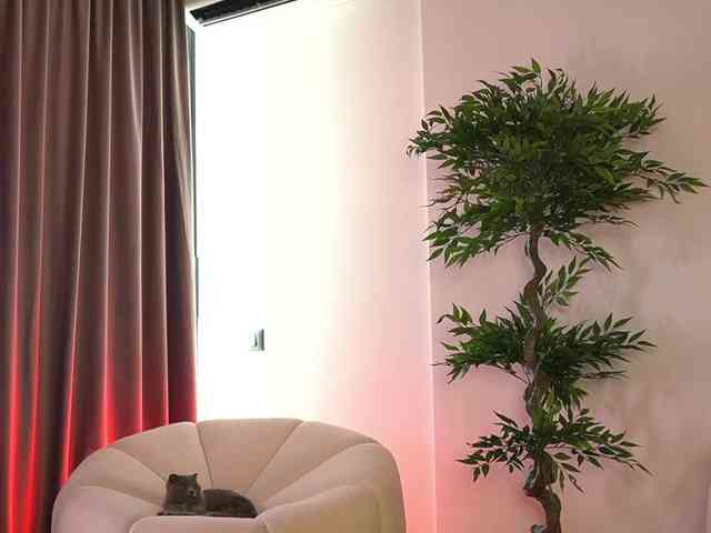 SashaPariss webcam