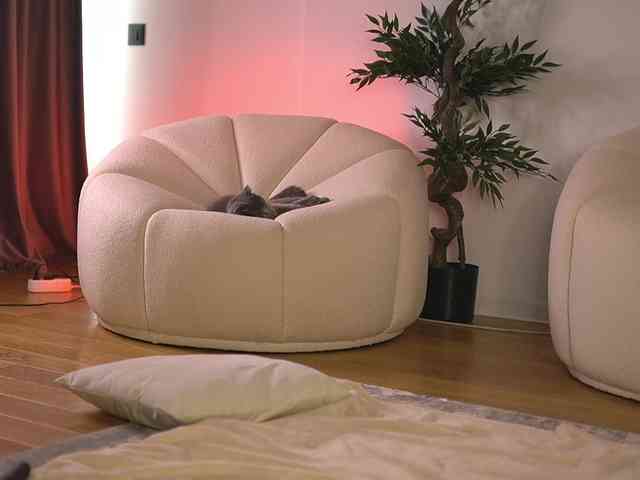 SashaPariss webcam