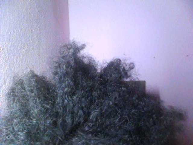 TessaLady live cam preview