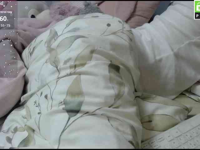 Monika-X webcam