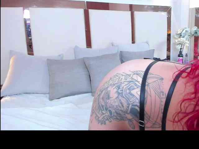 tamhyferrara webcam