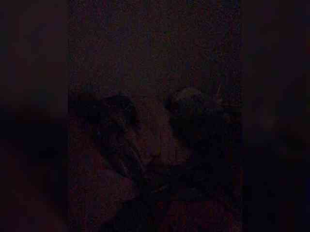 Thandieee webcam
