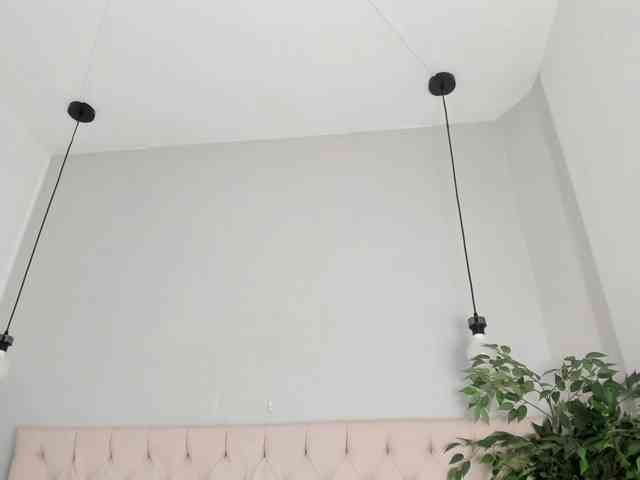 Victoria-Coleman webcam