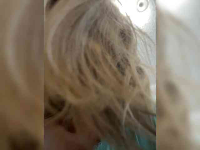 LagoonJoy webcam