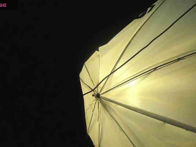 latinaStepStar webcam