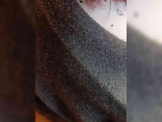 Sutener69-1 webcam
