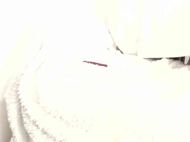 minene-mikami webcam