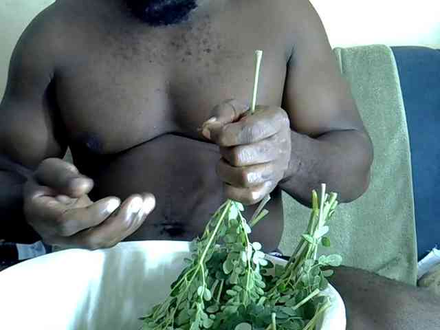 Africoc