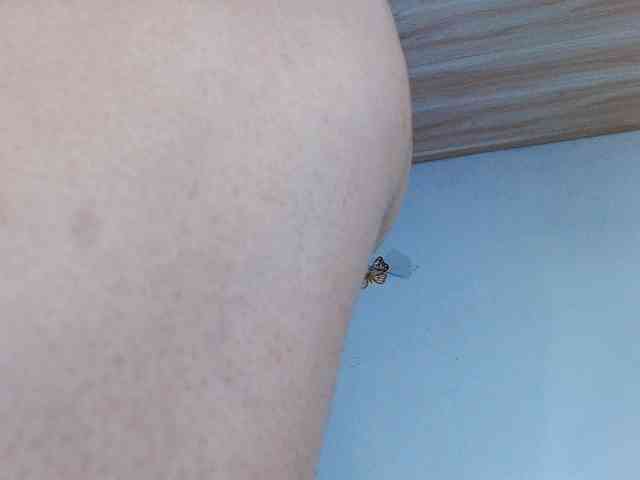 venus-cutee webcam