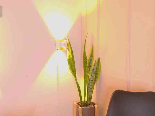 zuzusweet webcam