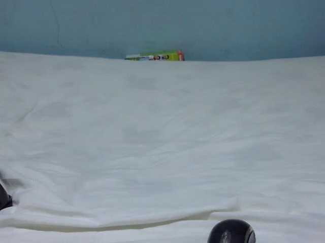 Petitetessy3