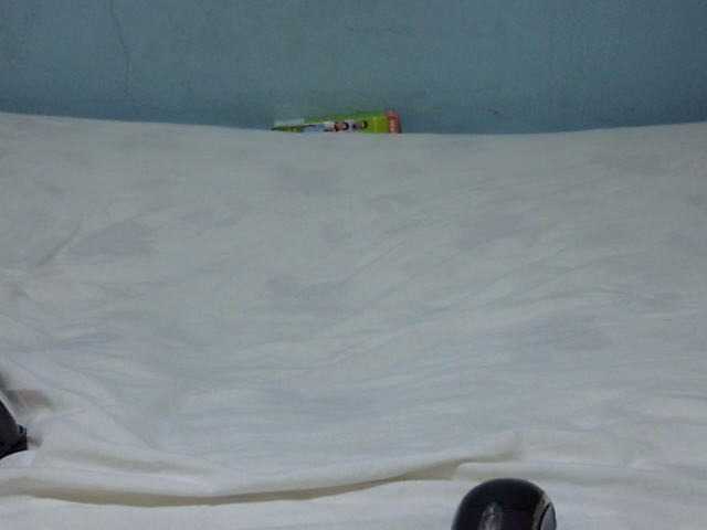 Petitetessy3