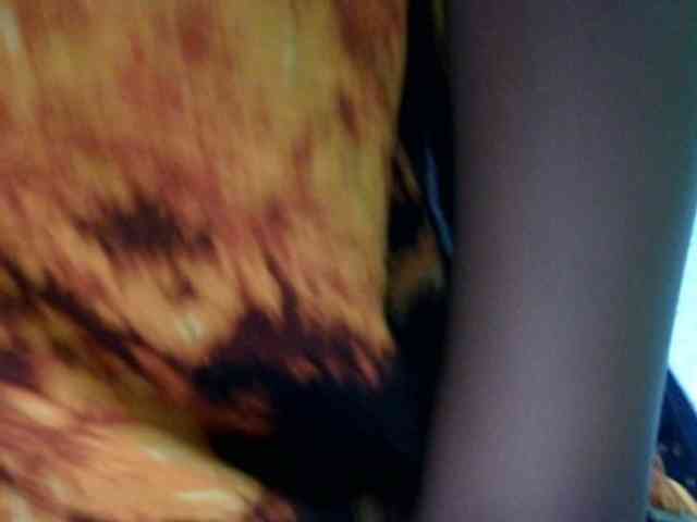 Petitetessy3 Petitetessy3