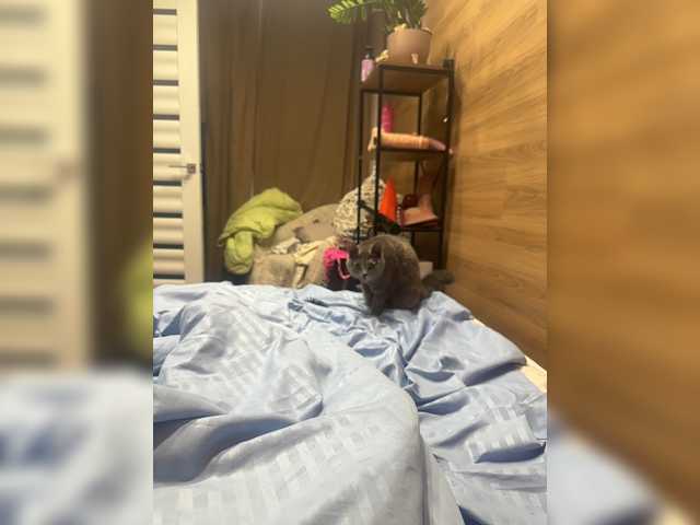 ALISA_PRO_MAX