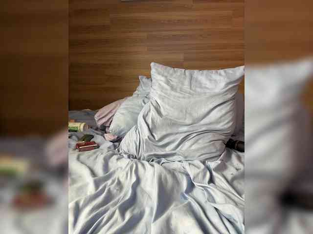 ALISA_PRO_MAX webcam