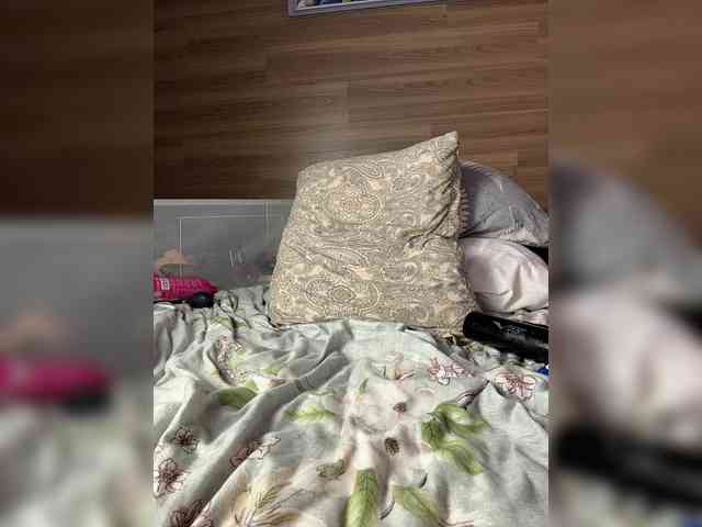 ALISA_PRO_MAX webcam