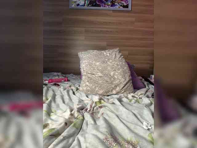 ALISA_PRO_MAX webcam