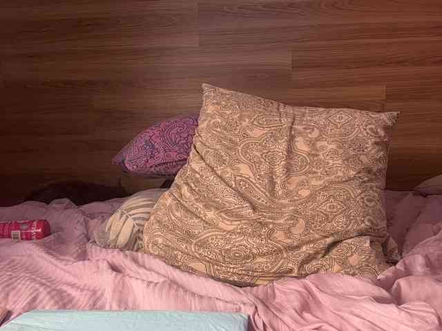 ALISA_PRO_MAX webcam