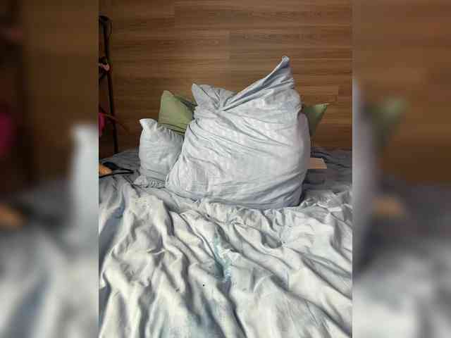 ALISA_PRO_MAX webcam