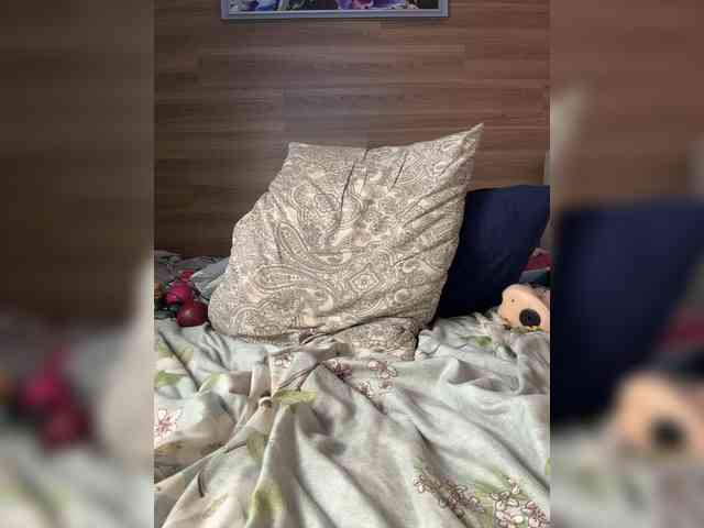 ALISA_PRO_MAX webcam