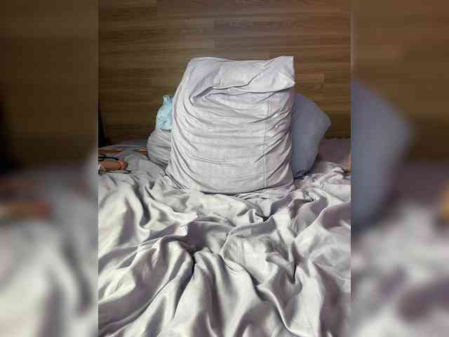 ALISA_PRO_MAX webcam