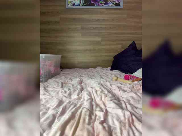 ALISA_PRO_MAX webcam