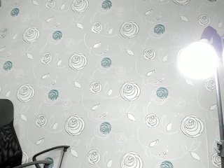 lunaeva23