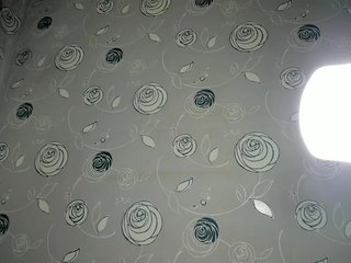 lunaeva23