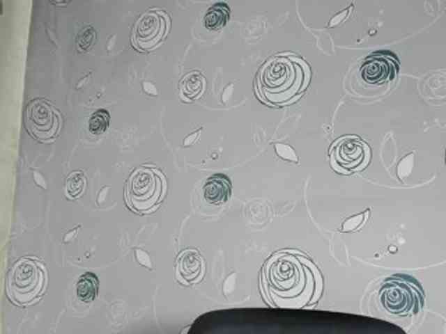 lunaeva23 webcam