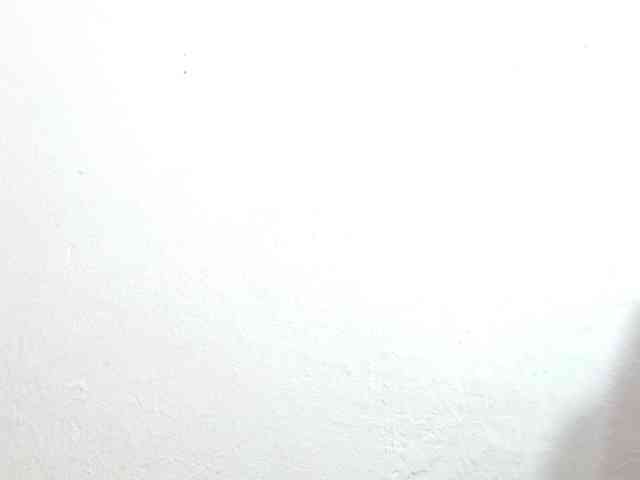 sharon-mom webcam