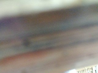 hornylittleprincess69 Porn Show