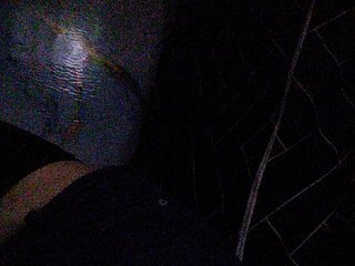 hornylittleprincess69