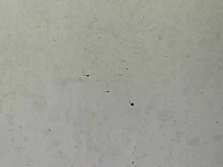 hornylittleprincess69