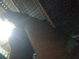 hornylittleprincess69